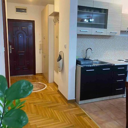 D Apartment Free Private Parking Fast Wi-Fi โนวีซาด ภายนอก รูปภาพ